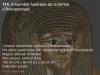 120508_Pharaons_07 120508_Pharaons_07