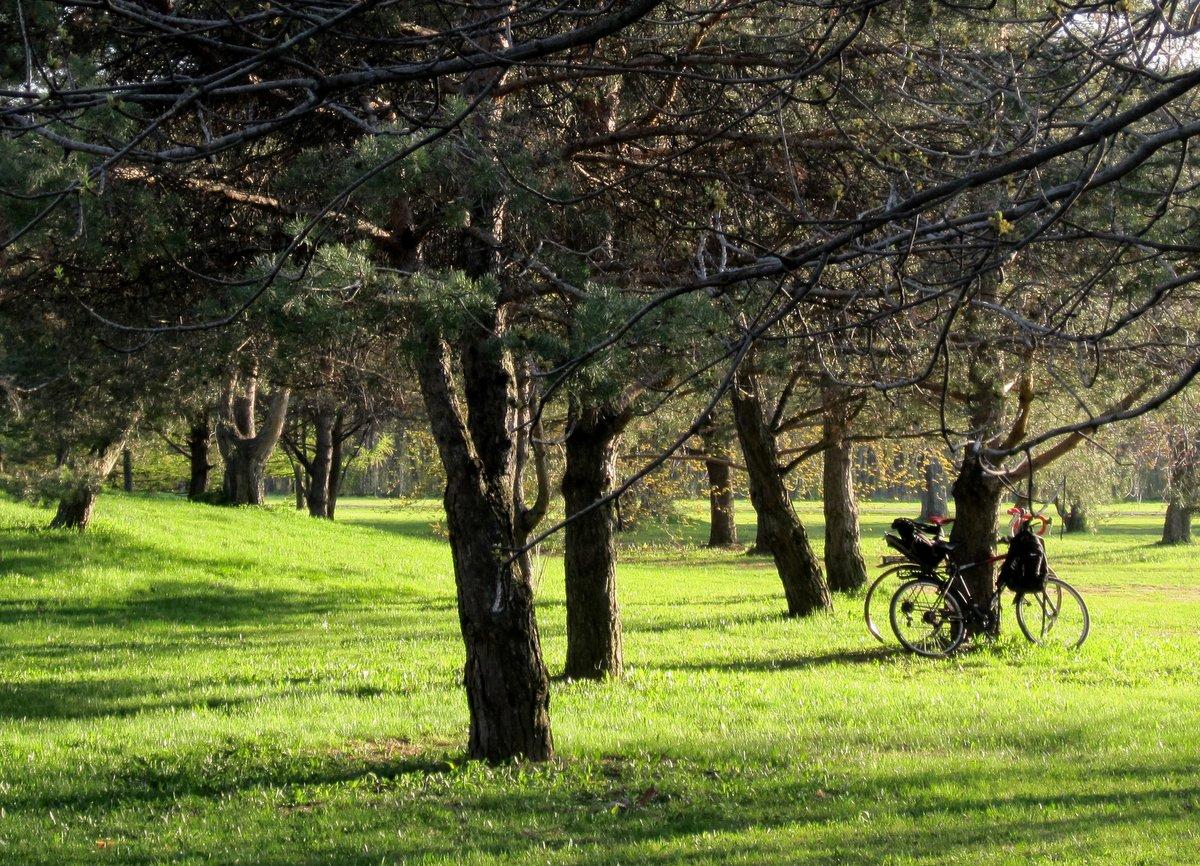 Vélo au Parc Maisonneuve Vélo au Parc Maisonneuve