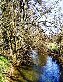 La relation avec Krishnamurti. La relation avec Krishnamurti.