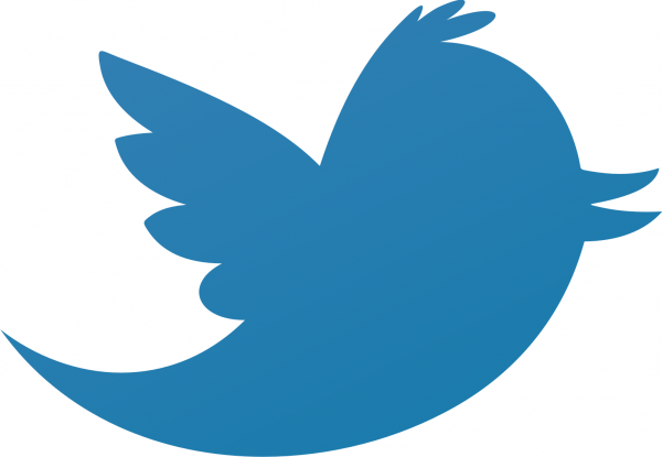 Twitter bird logo 600x415 55 000 mots de passe Twitter mis en ligne