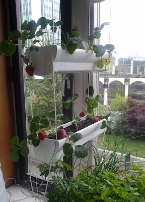 Notre 8 mai Notre 8 mai