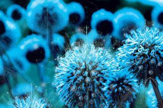 Biosphere-03 Biosphere-03