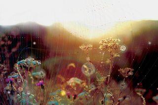 Biosphere_01 Biosphere_01