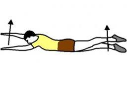 Muscler son dos