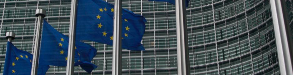 EU_0 Le projet européen survivra-t-il à sa nature contradictoire ?