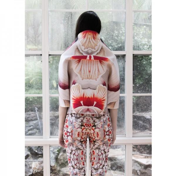 A la recherche d'ARCIMBOLDO A la recherche d'ARCIMBOLDO