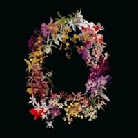 Top albums 2011 : 50ème - 31ème Top albums 2011 : 50ème - 31ème