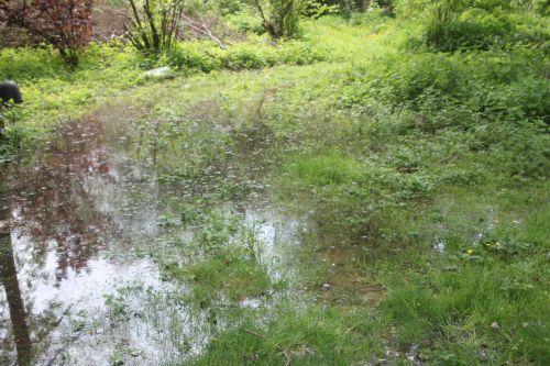 Inondation 2 romi 11 mai 2012 008.jpg