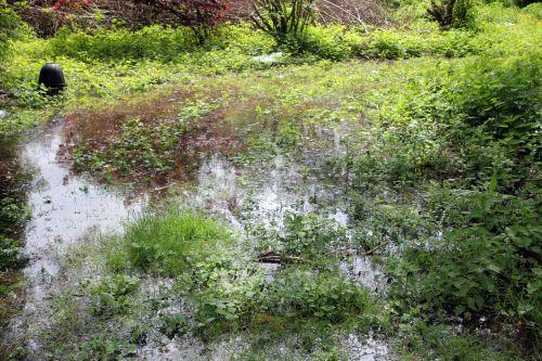 Inondation 1 romi 11 mai 2012 007.jpg