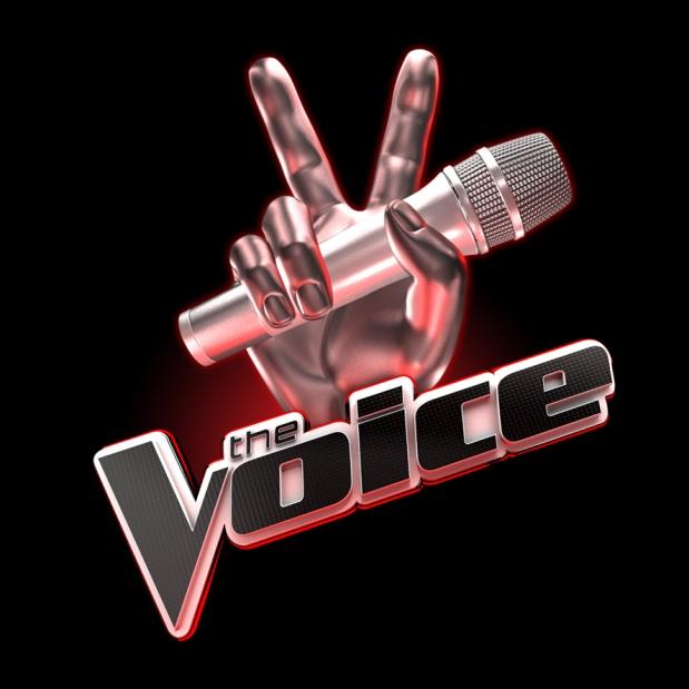 The Voice : qui va gagner selon vous ? The Voice : qui va gagner selon vous ?