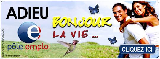 Adieu-anpe Complément de Revenu et Travail à Domicile