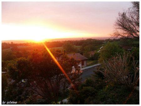 BON DIMANCHE DE MON JARDIN lever du jour 15 mai 2012 2