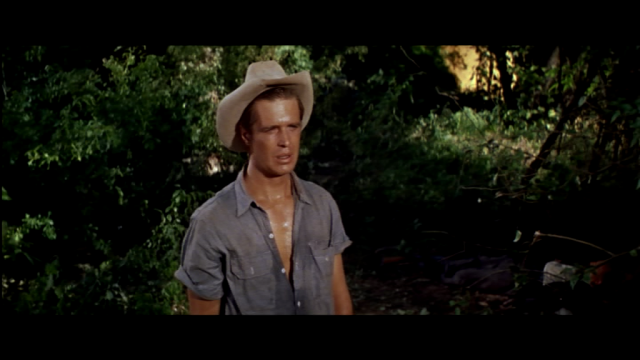 Celui par qui le scandale arrive - Home From The Hill, Vincente Minnelli (1960) Celui par qui le scandale arrive - Home From The Hill, Vincente Minnelli (1960)