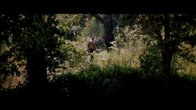 Celui par qui le scandale arrive - Home From The Hill, Vincente Minnelli (1960) Celui par qui le scandale arrive - Home From The Hill, Vincente Minnelli (1960)