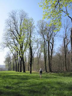 Le Trail du Josas : 3 courses nature (35,23 et 12km) en plein cœur de la vallée de la Bièvre dans les Yvelines. Moi, je l'ai fait en Trail Nordique. Le Trail du Josas : 3 courses nature (35,23 et 12km) en plein cœur de la vallée de la Bièvre dans les Yvelines. Moi, je l'ai fait en Trail Nordique.