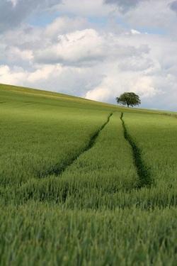Agriculture. Terre de liens, un frein à la spéculation foncière Agriculture. Terre de liens, un frein à la spéculation foncière