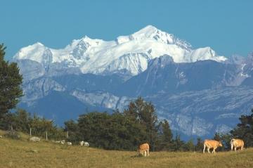 Lake Geneva Region : the ideal location in Europe to tackle the European market Saleve Mont-Blanc.JPG