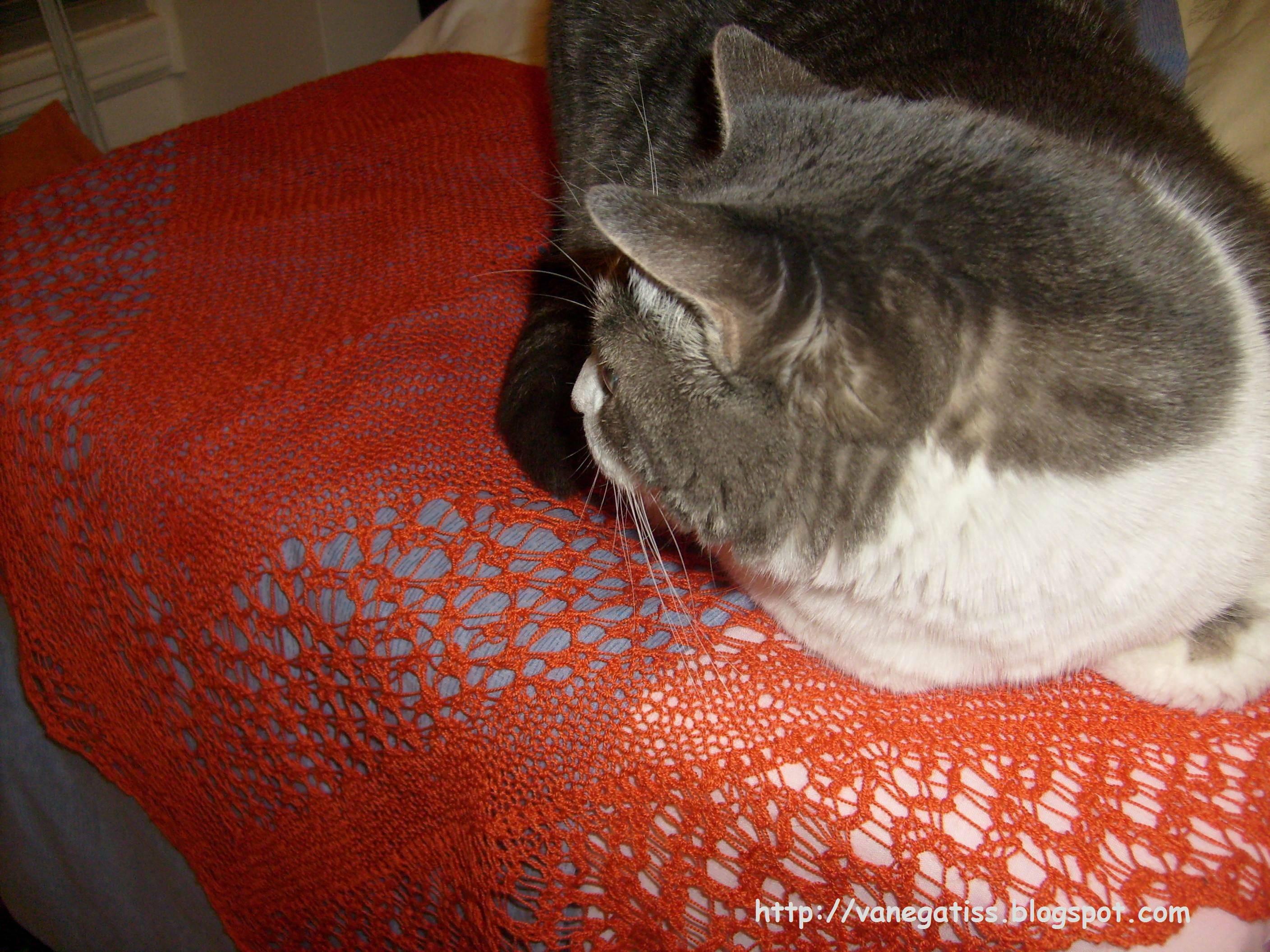 KAL Tricot Dentelle 5: Rock Island! KAL Tricot Dentelle 5: Rock Island!