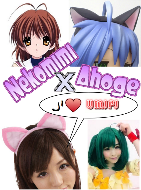 nekomimi nekomimi