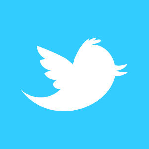 Oiseau-Twitter