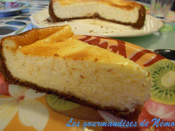 gateau-fromage-blanc-speculoos--1-.JPG