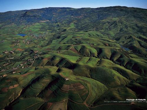 Benjamin Stora, l'Algérie, la France et nous... 75b0a921eef163f4eecd4d4a5abba701-1-.jpg