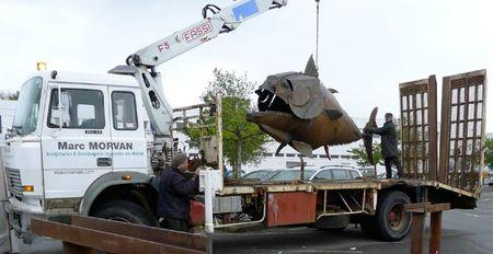 drôle de faune aux reflets métalliques thon