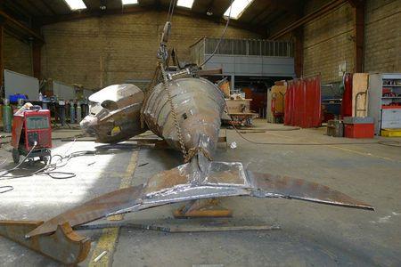 drôle de faune aux reflets métalliques thon-montage3