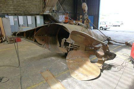 drôle de faune aux reflets métalliques thon-montage2