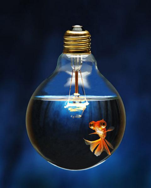 creativity 29 façons de rester créatif