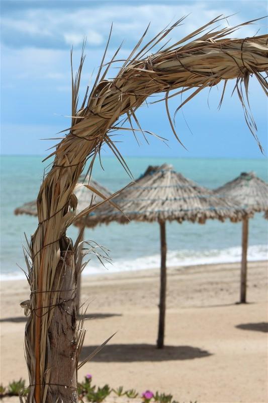 Tunisie Mon voyage en Tunisie en photos