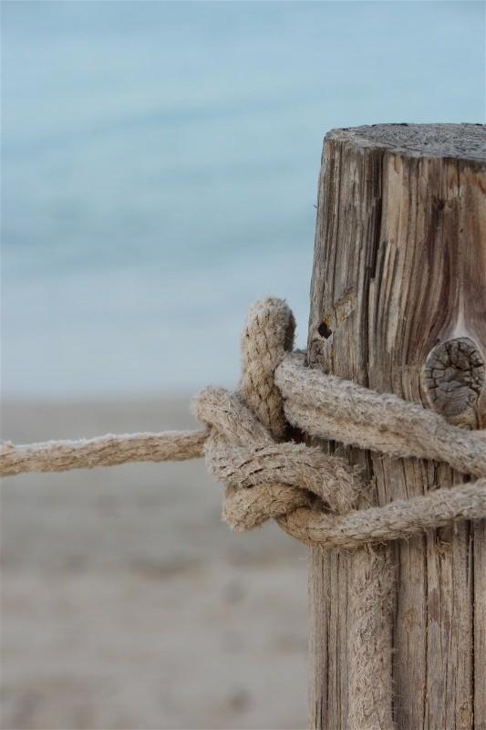 Tunisie Mon voyage en Tunisie en photos