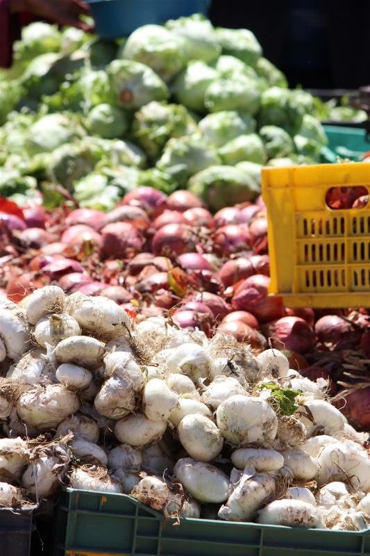 Tunisie Mon voyage en Tunisie en photos