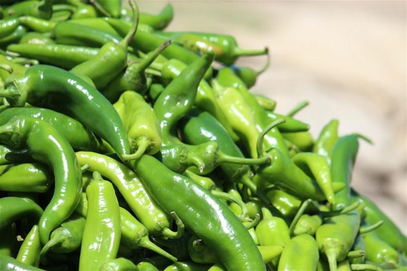 Tunisie Mon voyage en Tunisie en photos