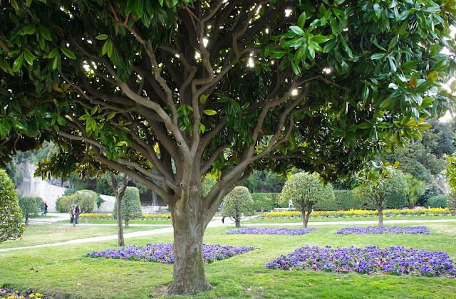 Je vous emmène ... dans les jardins du Monastère de Cimiez