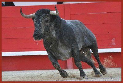 NIMES, PREMIERE vm23w