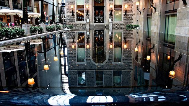 Mare d'eau urbaine... anteketborka.blogspot.com, montréal 1