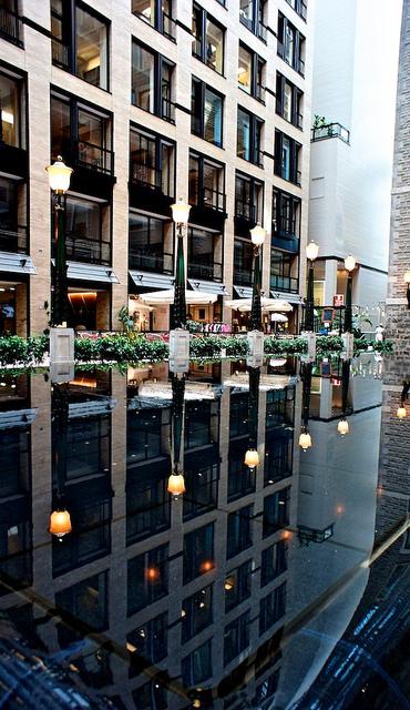 Mare d'eau urbaine... anteketborka.blogspot.com, montréal 6