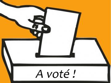 Le fiasco du vote des Français à l’étranger par internet