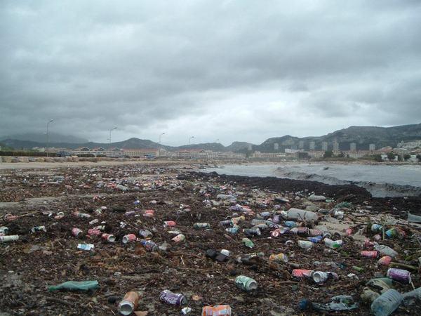 Et si on arrêtait de nettoyer les plages ?