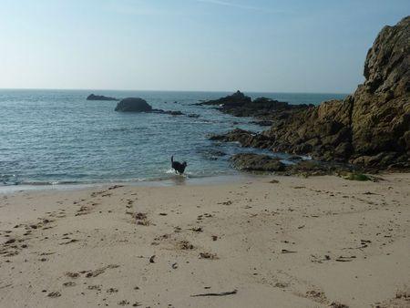 Je vous laisse pour 4 jours P1110088