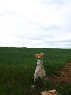 Terdav Trail World Tour, Saint Jacques en images: entre Burgos et León Terdav Trail World Tour, Saint Jacques en images: entre Burgos et León