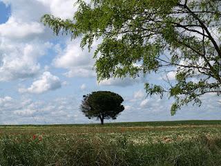 Terdav Trail World Tour, Saint Jacques en images: entre Burgos et León Terdav Trail World Tour, Saint Jacques en images: entre Burgos et León