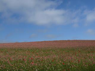 Terdav Trail World Tour, Saint Jacques en images: entre Burgos et León Terdav Trail World Tour, Saint Jacques en images: entre Burgos et León