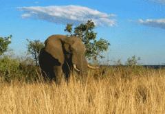 Une maison à la campagne (13) Littérature