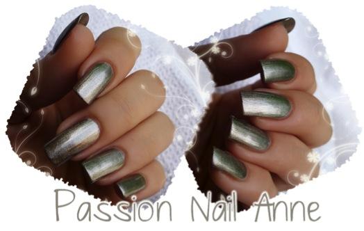 Jai testé pour vous : La Collection Metallics Nailissima Jai testé pour vous : La Collection Metallics Nailissima