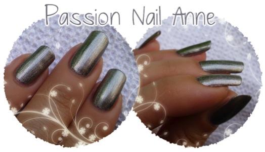 Jai testé pour vous : La Collection Metallics Nailissima Jai testé pour vous : La Collection Metallics Nailissima