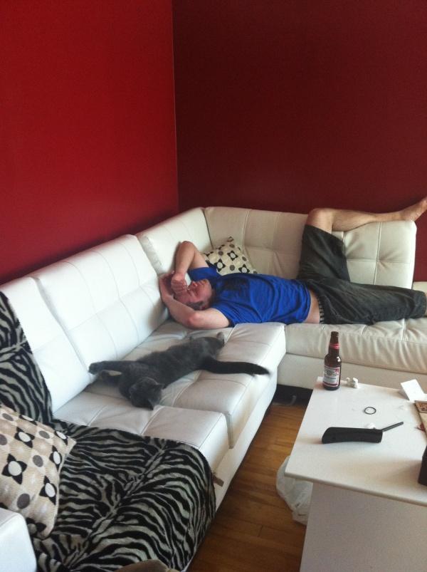 Mon nouveau divan ! Mon nouveau divan !