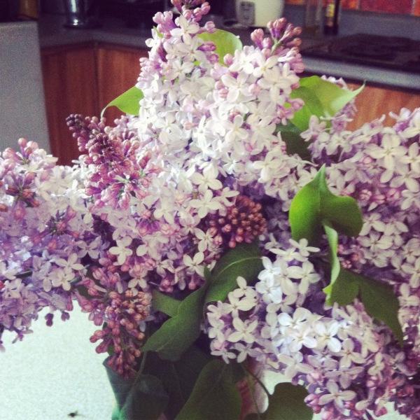 Lilas Lilas