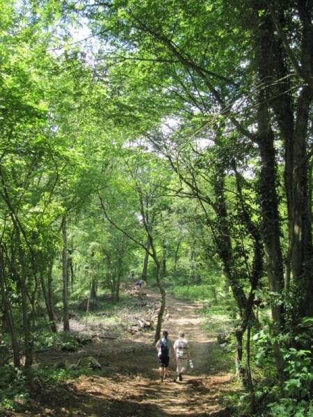 Angevillers, une marche dans une belle nature ! Angevillers, une marche dans une belle nature !
